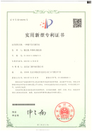 金三惠/领航数字音乐教育未来/公司荣誉